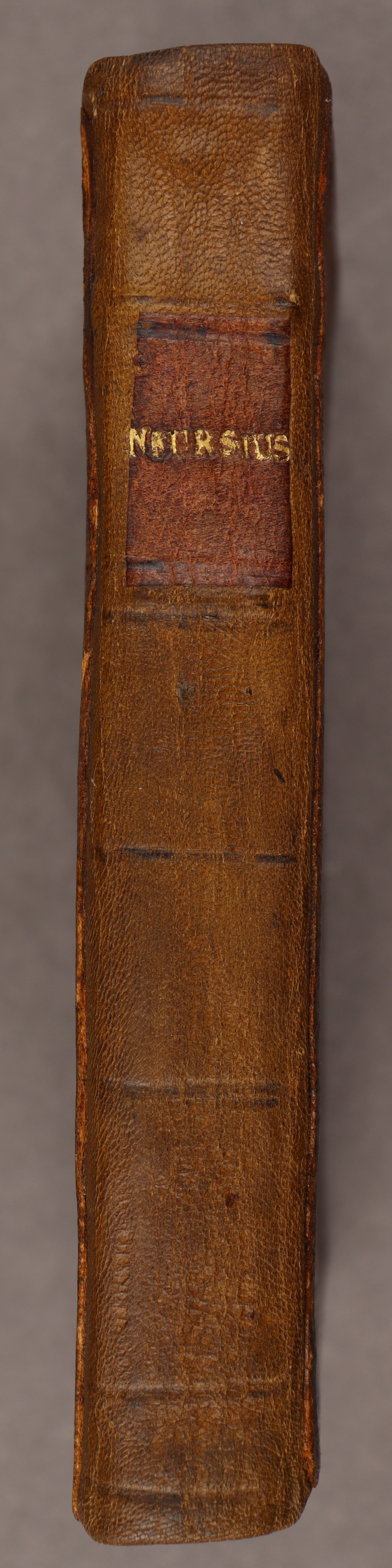 Spine